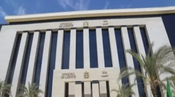 فرص العمل في الجيزة تصل رواتبها إلى 15 ألف جنيه وتفتح آفاق جديدة للباحثين عن عمل 1